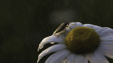 Similar image 22448374