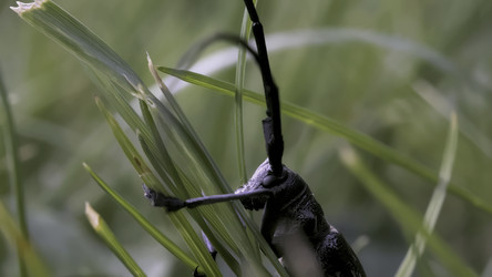 Similar image 22453263