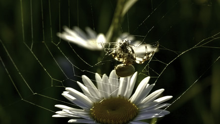 Similar image 22453358