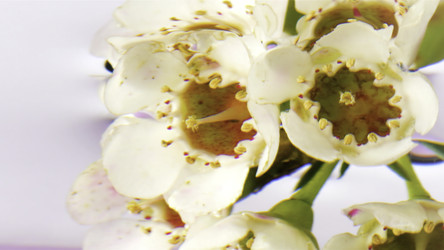 Similar image 22453370