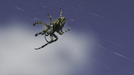 Similar image 22453371