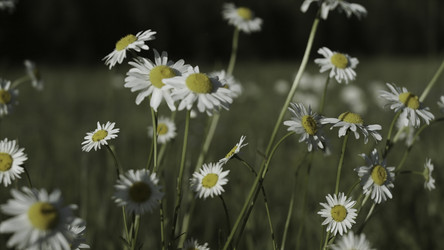 Similar image 22469884