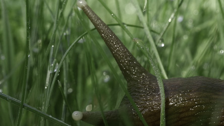 Similar image 22405148