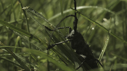 Similar image 22405176