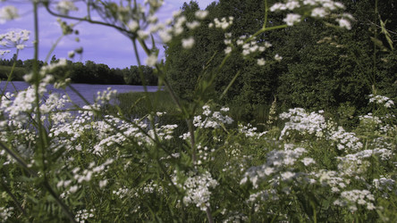 Similar image 22405209