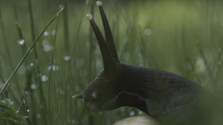 Similar image 22405239