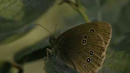 Similar image 22405251