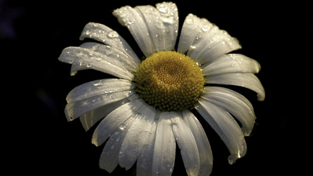 Similar image 22405295