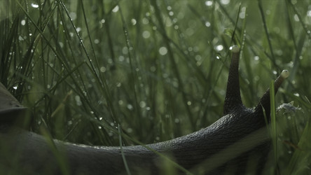 Similar image 22405314