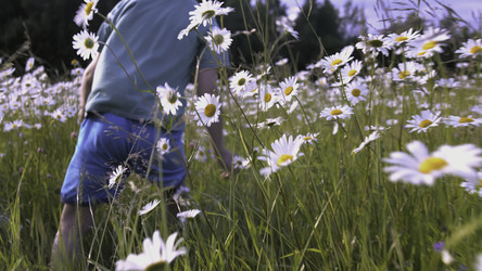 Similar image 22405358