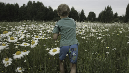 Similar image 22405388