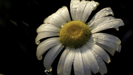 Similar image 22405401