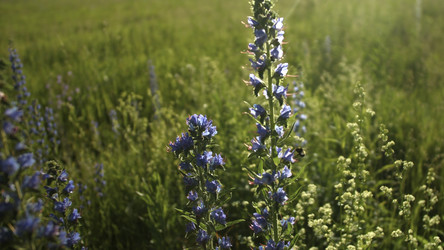 Similar image 22405503