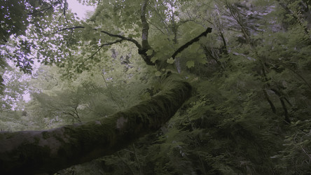 Similar image 22405564