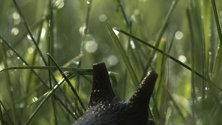 Similar image 22405685