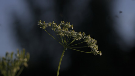 Similar image 22405700