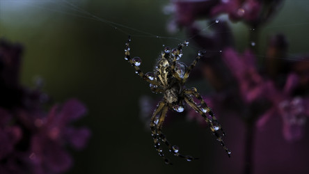 Similar image 22405730