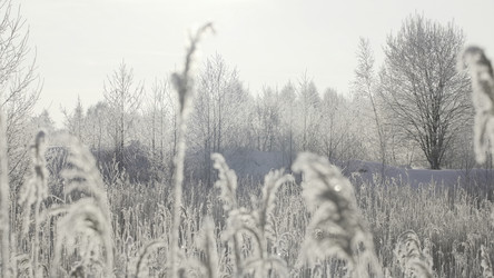 Similar image 22405909