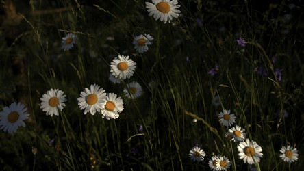 Similar image 22406013