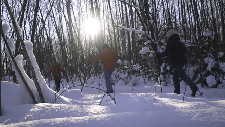 Similar image 22406028