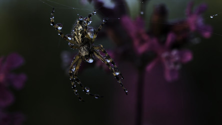 Similar image 22406044