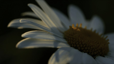 Similar image 22406853