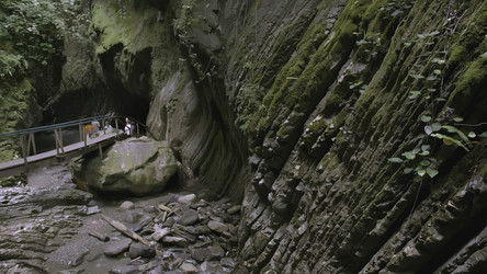 Similar image 22406928