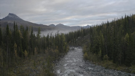 Similar image 22407018