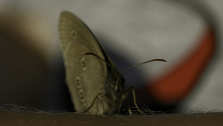 Similar image 22407050