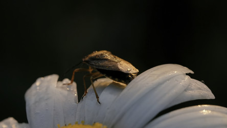 Similar image 22407064