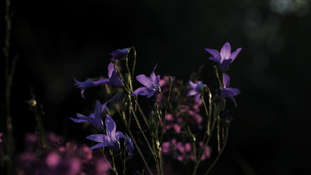 Similar image 22407079