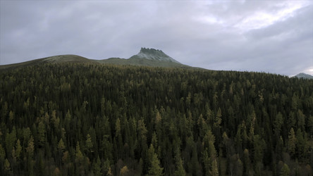 Similar image 22407095