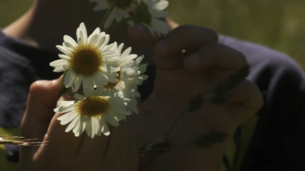 Similar image 22407125