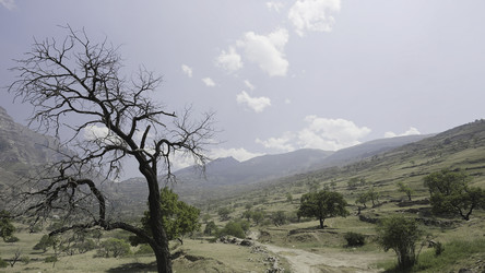 Similar image 22407154