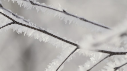 Similar image 22407260