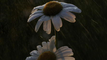 Similar image 22407348