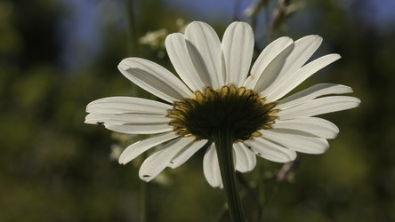 Similar image 22407424