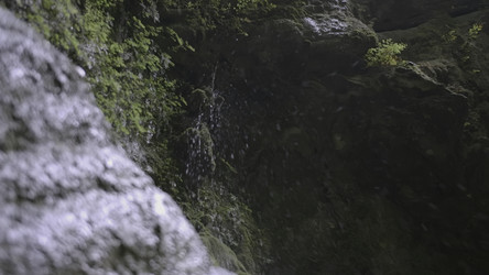 Similar image 22407514