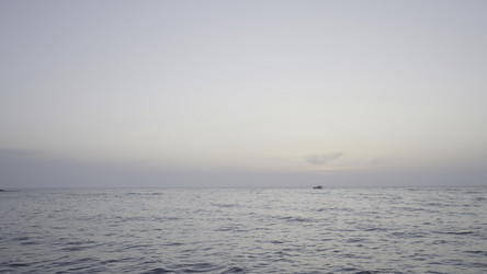 Similar image 22407529