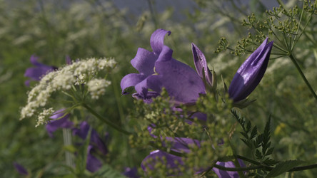 Similar image 22407544