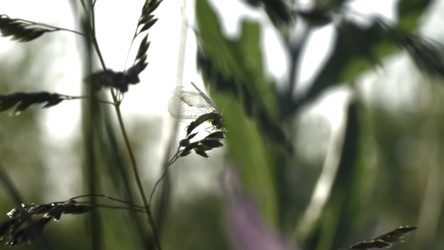 Similar image 22436257