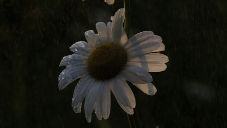 Similar image 22453252