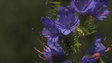 Similar image 22453282