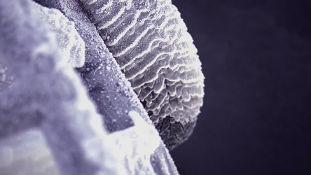 Similar image 22453311