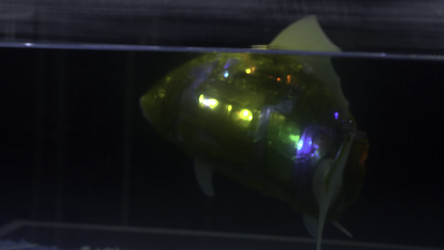 Similar image 22453328