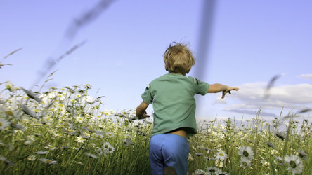 Similar image 22453345