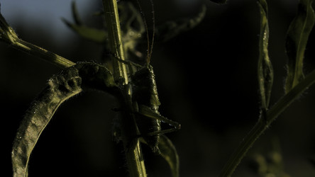 Similar image 22453359