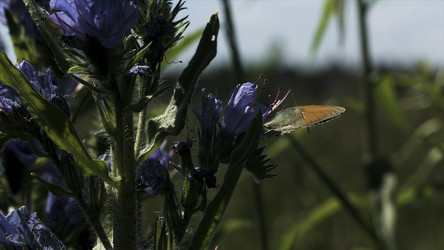 Similar image 22453372