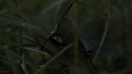 Similar image 22453390