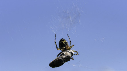 Similar image 22464081